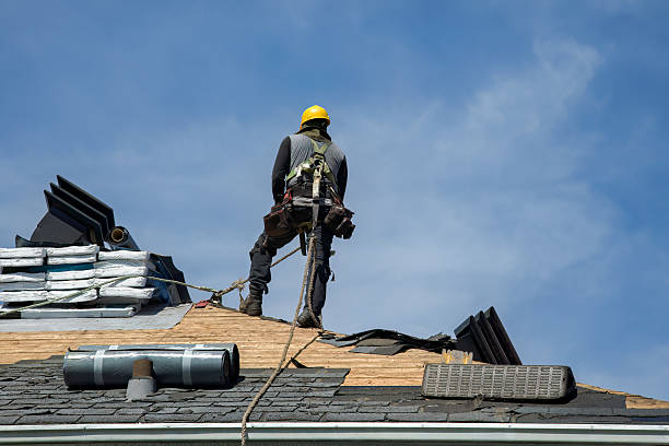 Professional Storm Damage Roof Repair technician working in Conesus, NY